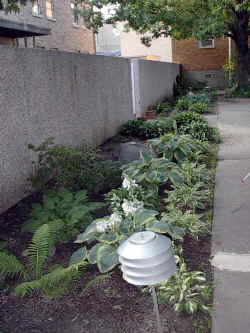 stjohns-garden.JPG (237378 bytes)